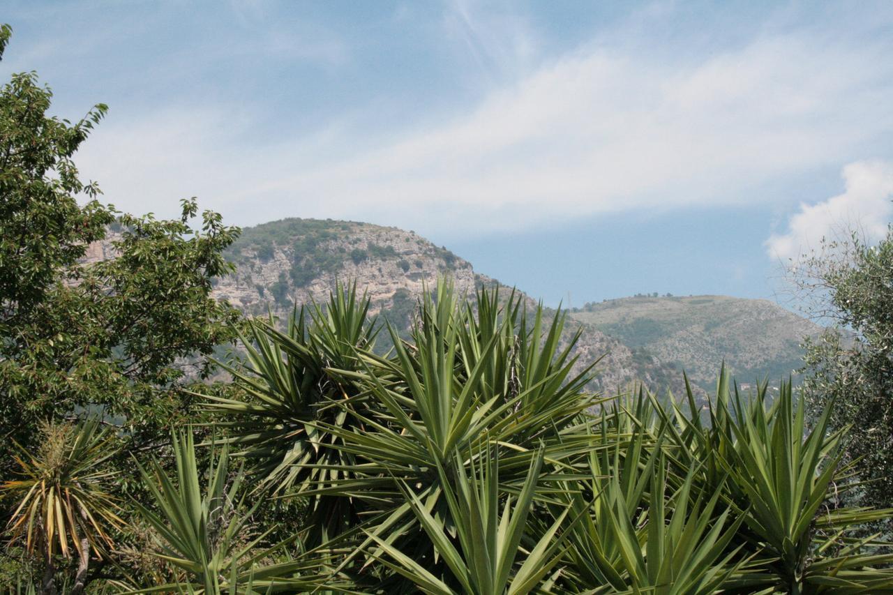 La Gaggia Guest House Piano di Sorrento Exterior photo